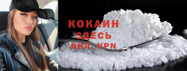 apvp Богородицк