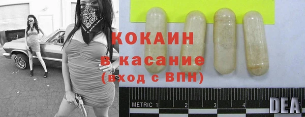 винт Богданович