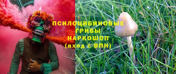 mix Богородск