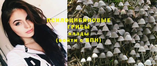 apvp Богородицк