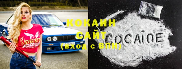 винт Богданович