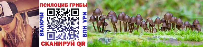 где купить   Динская  Псилоцибиновые грибы мухоморы 